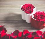 Pillole di felicità in amore 2.jpg Pillole di felicità in amore 2.jpg